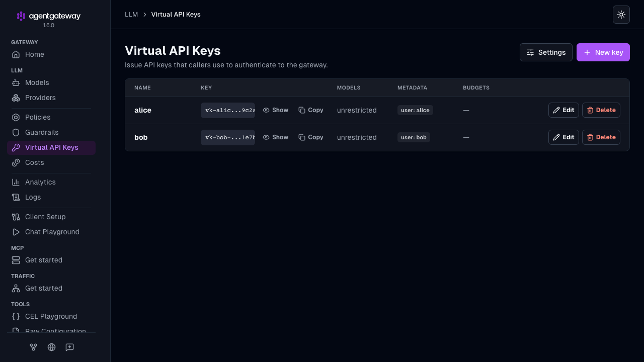 UI Virtual API Keys page listing configured keys and metadata